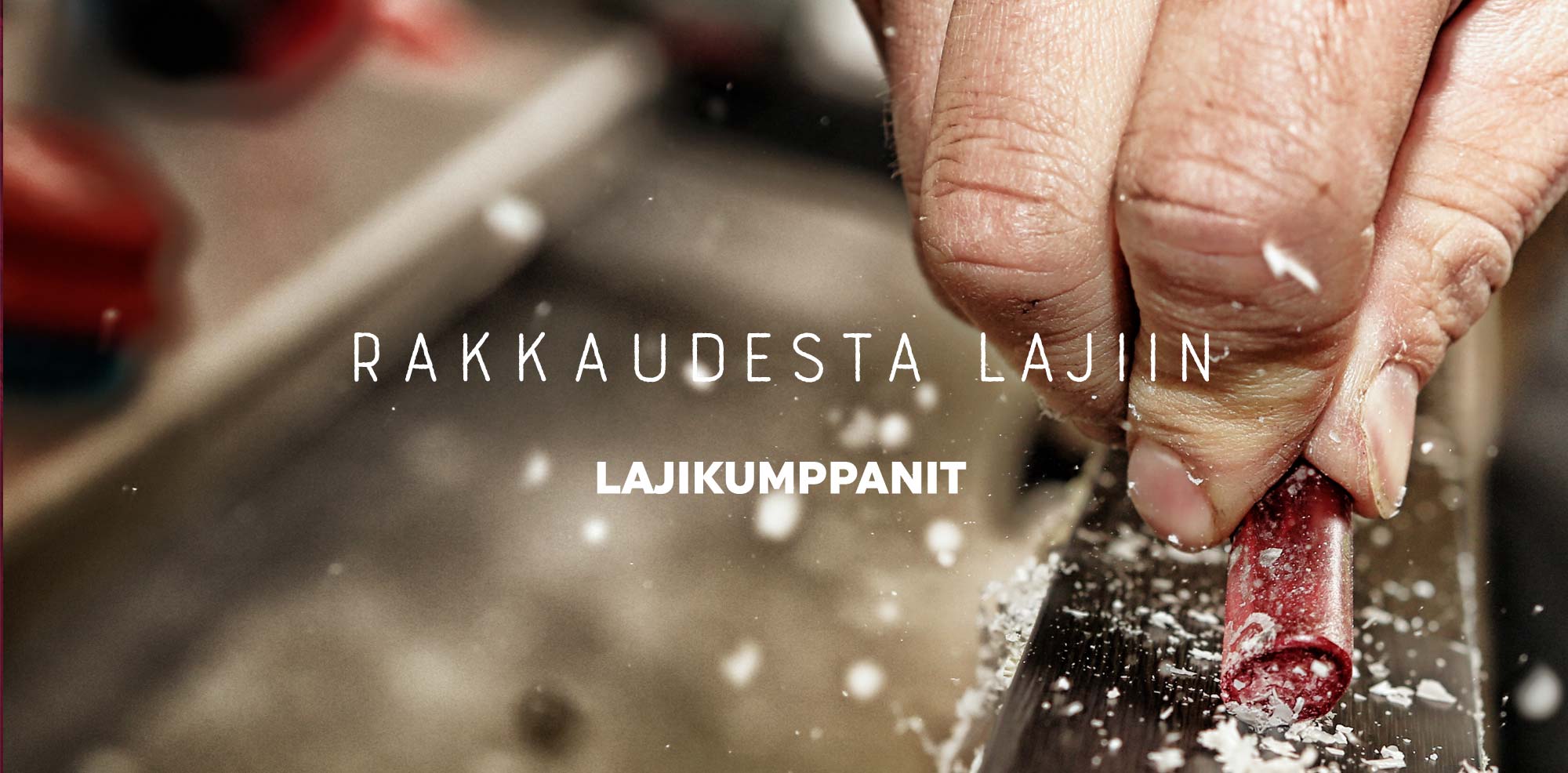 Lajikumppanit